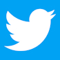 The bird logo of Twitter / X